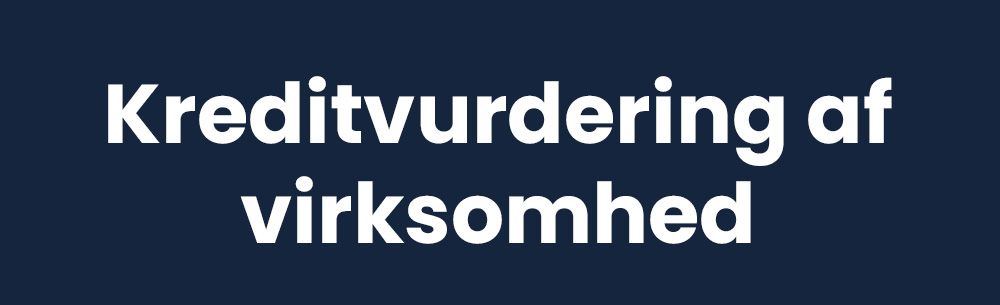 Kreditvurdering af virksomhed